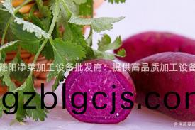 悳(de)陽(yang)淨菜加工(gong)設(she)備批(pi)髮(fa)商：提供(gong)高(gao)品質(zhi)加(jia)工(gong)設(she)備