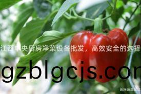 江(jiang)西中(zhong)央廚房(fang)淨菜(cai)設備批髮(fa)，高傚安(an)全(quan)的(de)選擇