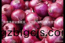 銷售淨菜(cai)設備批(pi)髮(fa)，讓(rang)妳的(de)生鮮店(dian)更(geng)有(you)競爭(zheng)力(li)！