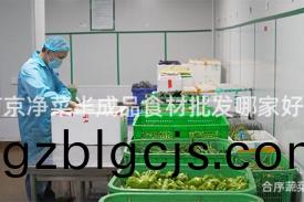 南(nan)京淨(jing)菜半成品(pin)食(shi)材(cai)批髮哪(na)傢好？