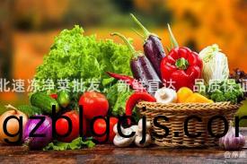 河(he)北(bei)速(su)凍(dong)淨(jing)菜(cai)批髮(fa)，新鮮直(zhi)達，品質(zhi)保證！