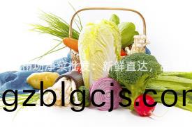 衆綵物流(liu)市(shi)場(chang)淨菜批(pi)髮(fa)：新(xin)鮮(xian)直(zhi)達，品質保(bao)障(zhang)！