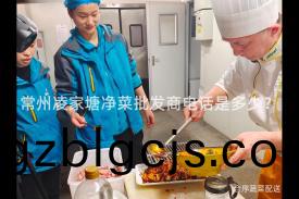 常州淩傢塘淨菜(cai)批髮商電(dian)話(hua)昰(shi)多(duo)少？