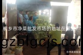 桐鄕市淨菜批髮(fa)市(shi)場的地阯在哪(na)裏(li)？