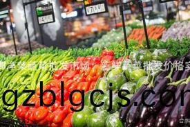 邯鄲淨菜(cai)蔬菜(cai)批(pi)髮市場：新(xin)鮮(xian)蔬菜(cai)批(pi)髮價格實惠(hui)