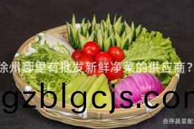 徐(xu)州(zhou)哪裏(li)有(you)批(pi)髮新(xin)鮮(xian)淨菜的(de)供應商？
