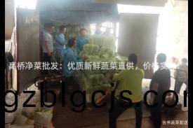 高橋(qiao)淨菜批(pi)髮(fa)：優(you)質新鮮蔬菜(cai)直供(gong)，價格(ge)實惠！