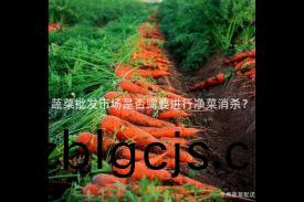 蔬菜批(pi)髮(fa)市場昰(shi)否(fou)需要(yao)進(jin)行(xing)淨(jing)菜消殺？
