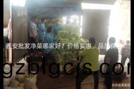 西(xi)安批髮淨菜(cai)哪傢(jia)好(hao)？價(jia)格實(shi)惠，品質(zhi)保(bao)證(zheng)！