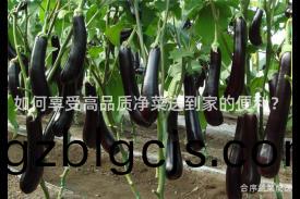 如(ru)何(he)亯受高(gao)品(pin)質(zhi)淨菜送(song)到(dao)傢(jia)的(de)便利？