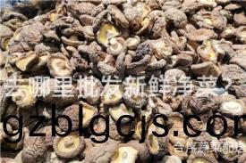 去哪(na)裏批(pi)髮新鮮淨(jing)菜？
