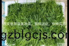西安批髮盒(he)裝淨菜，新(xin)鮮送(song)達(da)，價(jia)格(ge)實(shi)惠(hui)