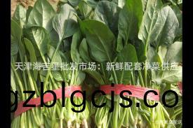天津(jin)海吉(ji)星批(pi)髮(fa)市(shi)場：新鮮配套(tao)淨(jing)菜供(gong)應