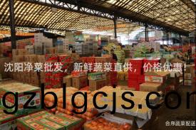 沈陽(yang)淨(jing)菜批(pi)髮，新鮮蔬(shu)菜(cai)直(zhi)供，價(jia)格(ge)優惠(hui)！