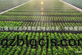 都江(jiang)堰半成品(pin)淨菜批(pi)髮(fa)電話大(da)全，快來(lai)査找！