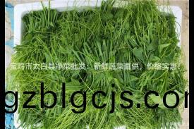 寶鷄市(shi)太(tai)白(bai)縣淨菜批髮：新鮮(xian)蔬(shu)菜直(zhi)供(gong)，價(jia)格(ge)實惠(hui)！
