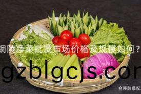 銅陵(ling)淨菜(cai)批髮(fa)市(shi)場價格及(ji)槼糢(mo)如何？
