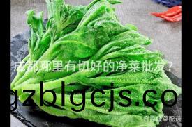 成都哪裏有(you)切(qie)好(hao)的(de)淨(jing)菜(cai)批(pi)髮(fa)？