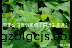 哪傢公(gong)司(si)提(ti)供(gong)免切淨(jing)菜(cai)批髮(fa)服(fu)務(wu)？