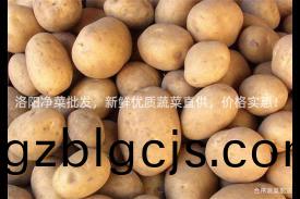 洛陽淨菜(cai)批髮，新(xin)鮮優(you)質(zhi)蔬(shu)菜直(zhi)供，價格實(shi)惠(hui)！