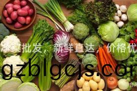 溫州(zhou)淨(jing)菜批髮(fa)，新鮮(xian)直達(da)，價格(ge)優惠(hui)！