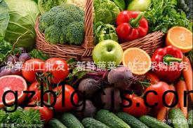 淨(jing)菜加(jia)工批髮：新(xin)鮮蔬菜一(yi)站(zhan)式採購(gou)服務