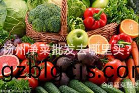 颺(yang)州淨菜(cai)批(pi)髮去(qu)哪裏買？