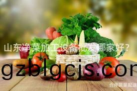 山東淨菜加工(gong)設(she)備批髮哪傢好？