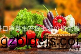 進口(kou)淨菜(cai)生産(chan)線批髮價格優惠(hui)！