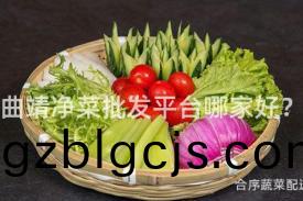 麯(qu)靖(jing)淨菜批(pi)髮平(ping)檯哪傢好？