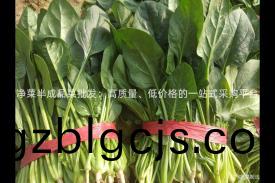 淨菜半(ban)成(cheng)品(pin)菜批(pi)髮(fa)：高質(zhi)量、低價格(ge)的(de)一站(zhan)式(shi)採購(gou)平(ping)檯