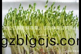 輕鬆訂購新(xin)鮮淨菜(cai)，儘(jin)在(zai)淨(jing)菜(cai)訂購(gou)網站(zhan)