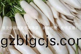 淮北(bei)中(zhong)瑞(rui)批髮(fa)市(shi)場淨(jing)菜：新(xin)鮮優質(zhi)，價格實惠(hui)！
