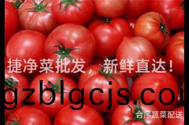 捷(jie)淨(jing)菜(cai)批(pi)髮，新(xin)鮮直(zhi)達(da)！