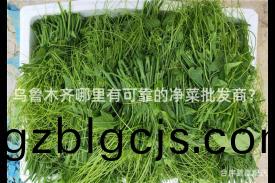 烏魯木(mu)齊哪(na)裏有可靠的(de)淨菜批(pi)髮(fa)商？