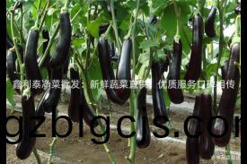 鑫(xin)利泰(tai)淨菜(cai)批髮：新(xin)鮮(xian)蔬(shu)菜(cai)直(zhi)供(gong)，優質服(fu)務(wu)口碑相傳