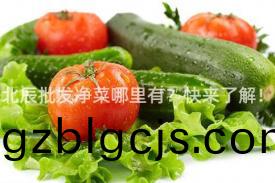 北辰(chen)批髮淨菜哪(na)裏(li)有(you)？快(kuai)來了(le)解！