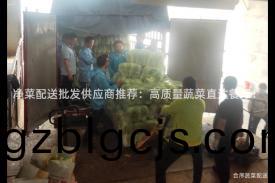 淨(jing)菜(cai)配(pei)送(song)批髮(fa)供(gong)應(ying)商推薦(jian)：高(gao)質量(liang)蔬(shu)菜(cai)直(zhi)達餐(can)廳(ting)！
