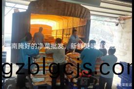 淮南(nan)醃(yan)好的淨(jing)菜批髮(fa)，新鮮(xian)美味(wei)直(zhi)達(da)您傢(jia)！