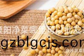 溧陽(yang)淨(jing)菜哪裏可(ke)以(yi)批髮(fa)？