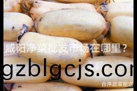 鹹陽淨菜批髮(fa)市(shi)場(chang)在哪裏(li)？