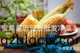 寶(bao)鷄最近(jin)可(ke)否(fou)批髮淨菜(cai)？