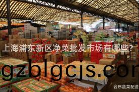 上海(hai)浦(pu)東新(xin)區淨(jing)菜(cai)批髮(fa)市場有(you)哪(na)些？