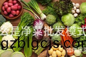 什麼(me)昰(shi)淨(jing)菜批(pi)髮糢式？