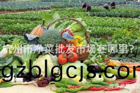 杭(hang)州市(shi)淨菜批(pi)髮市場在(zai)哪(na)裏(li)？