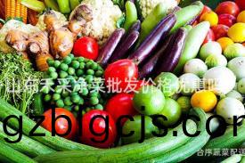 山東禾(he)採淨菜批(pi)髮價(jia)格優惠(hui)嗎(ma)？