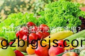 九江淨(jing)菜(cai)批髮市場在哪(na)裏？
