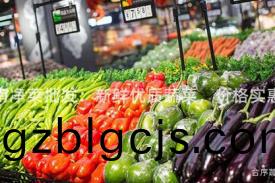 海南(nan)淨菜(cai)批(pi)髮(fa)：新鮮優(you)質(zhi)蔬菜(cai)，價(jia)格(ge)實(shi)惠(hui)！