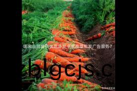 哪(na)傢公(gong)司提供(gong)優(you)質(zhi)淨菜半(ban)成(cheng)品(pin)菜(cai)批髮廣(guang)告服(fu)務(wu)？