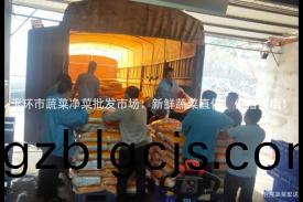 玉(yu)環市蔬菜淨(jing)菜(cai)批髮市場：新(xin)鮮(xian)蔬菜直(zhi)供(gong)，價(jia)格實(shi)惠！